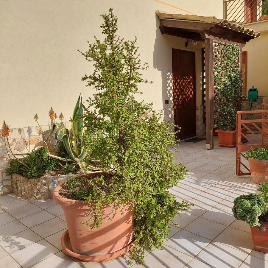 B&B Camere E Cassata Agrigento Eksteriør bilde