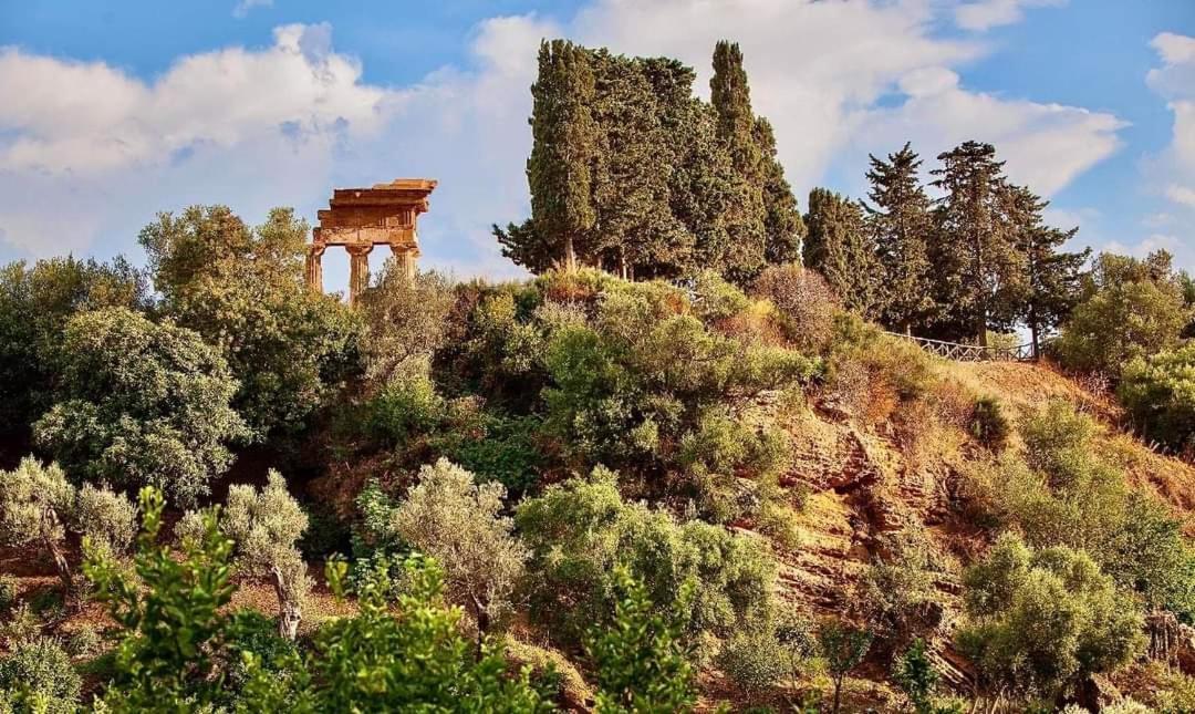 B&B Camere E Cassata Agrigento Eksteriør bilde